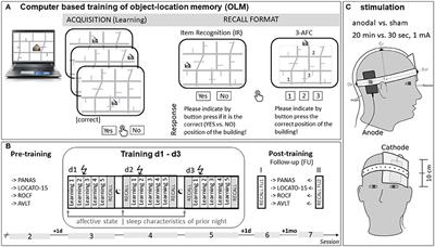 No Effects of Non-invasive Brain Stimulation on Multiple Sessions of Object-Location-Memory Training in Healthy Older Adults